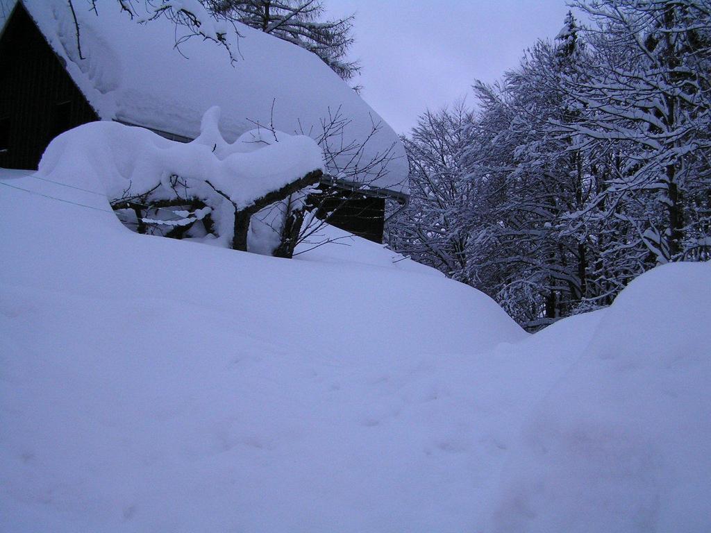 Na Slunecni Pohadkova Chaloupka Ve Sladke Dire Příchovice Kültér fotó